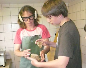 Die Fossiliensuche auf dem Acker wird im Labor mit gewissenhaften Reinigungs- und Sortierarbeiten fortgesetzt